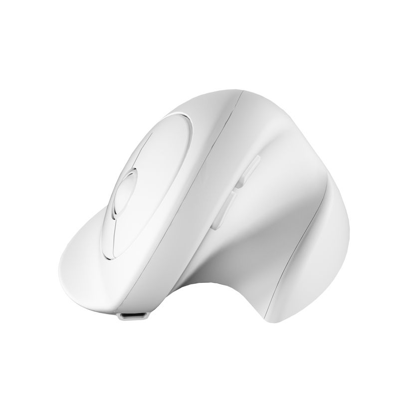 XTSTAR 891 Ergonomic Vertical Mouse - Vertical Mouse - XTSTAR